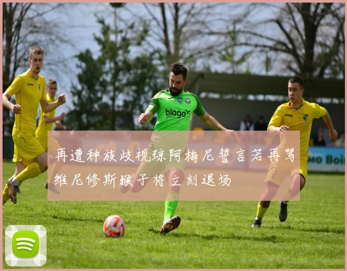 再遭种族歧视琼阿梅尼誓言若再骂维尼修斯猴子将立刻退场